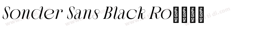Sonder Sans Black Ro字体转换 Sonder Sans Black Ro字体转换